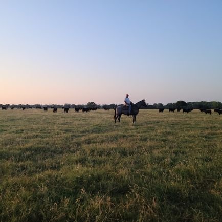 BrettSaul2's profile picture. Just a earth observer watching humanity
#AllShiftHappilyNow