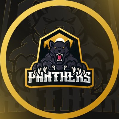 PnrEsport's profile picture. closed