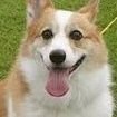 🐶低浮上気味です。
🐶コロナ怖がりすぎやでみんな
🐶mRNAワクチンは非接種です
🐶日本が産廃処理場になってる現状が腹立たしいです。
※無言フォロー失礼します🙇♀️
