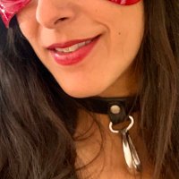 Mohh’sKitten (@mohhs_kitten) 's Twitter Profile