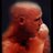 GlennCatley's profile image