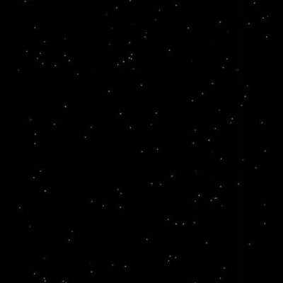 cachehit101's profile picture. 