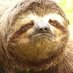 Texts (@2060msi) Twitter profile photo Texts (@2060msi) Twitter profile photo