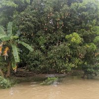 fmtb (@fmtb2022) 's Twitter Profile