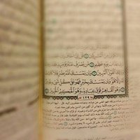 حبيب بن علي العامري (@habib_hemade) 's Twitter Profile