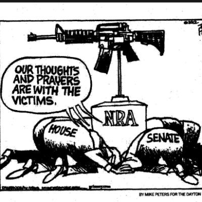 Strong gun control advocate, but my main focus is on gun owners or their families getting shot. More guns is not the answer. Can't stop bullets with your gun.