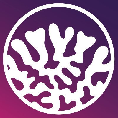 A collection of 8,888 Corals growing, evolving, & fully stored #onchain on the #Cardano Blockchain. MINT NOW @ https://t.co/LcDfzbeKye🪸 https://t.co/j1lw5CC5rr