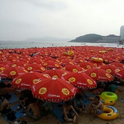 Enzo7221's profile picture. 