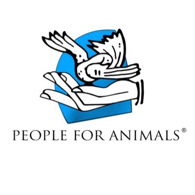 People For Animals India (@pfaindia) / Twitter