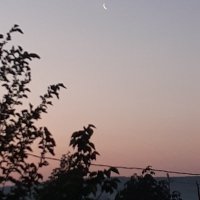 Hasip Turhan (@hasipturhan) 's Twitter Profile