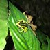 Maria Paula Barrera Salamanca (@mariapa48718338) Twitter profile photo Maria Paula Barrera Salamanca (@mariapa48718338) Twitter profile photo
