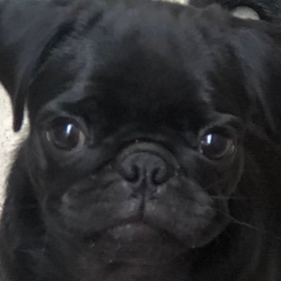 michhnay's profile picture. 