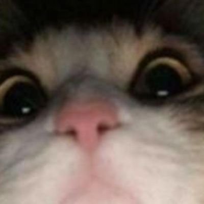 Cepatr001's profile picture. 