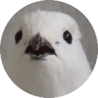 ｱﾘｬさんのプロフィール画像