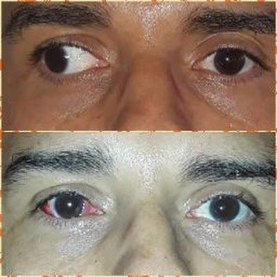 DaoudiDocteur's profile picture. ophtalmologiste - posturologue