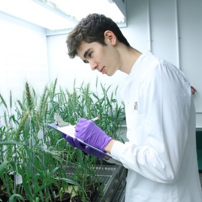 Cell Biology PhD student who wants to put his brick on the pile.
曇りなき眼で見定め　決める