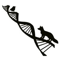 Laboratorio Biodiversidad Molecular (@molecularbiolab) 's Twitter Profile