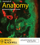 Journal of Anatomy's main focus is on contributions to understanding development, evolution and function through a broad range of anatomical approaches.