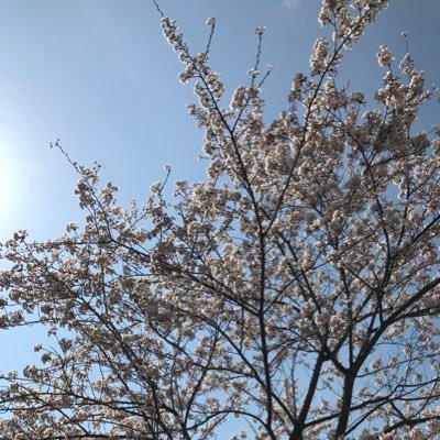 教員20年以上30年未満。 就職氷河期世代です。思っていることをつぶやきます。※悪質なリプ、本題からずれたリプはブロックで少しずつ整理していきます。