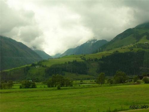 almtaw's profile picture. ماجستير ودكتوراه في الفقه المقارن