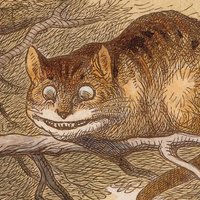 Cheerwine.🍷🎉 (@cheerwhine1) 's Twitter Profile Photo