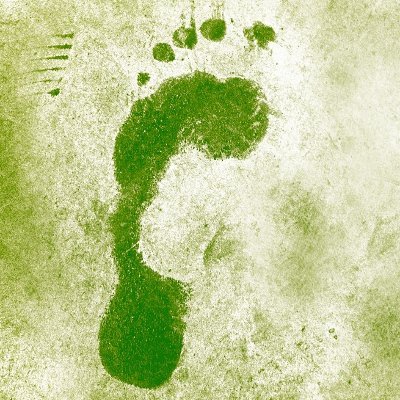 greentravellist's profile picture. Hi I'm ricky from https://t.co/9tpVho0E7H exploring the future of sustainable travel options