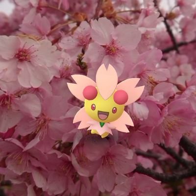 ポケモンGO垢・青TL44・チケット以外は、無課金・まったりで遊んでます😁