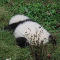lucy aquamarine daisy 402 (@lucymarine402) 's Twitter Profile
