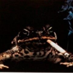 FranklinBluth's profile picture. 