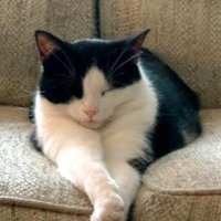 L M 🇨🇦 (@lomac__) 's Twitter Profile