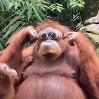 kash 🇵🇸🇵🇸🇵🇸 (@bigbhaikash) 's Twitter Profile Photo