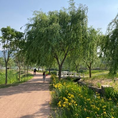 meaningfull_h's profile picture. 글씨 쓰는 사서- 읽고, 씁니다.