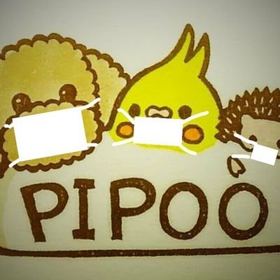 PIPOO(ﾋﾟｨﾌﾟｰ)次は愛鳥祭といきもにあさんのプロフィール画像