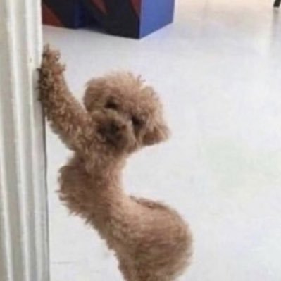 happyherri's profile picture. แฮปปี้เฮอริ้และมรสุมชีวิต