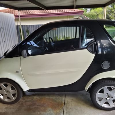 argc_argv_envp's profile picture. Woke geordie