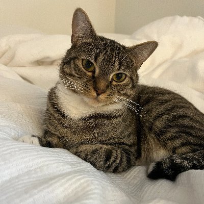 Lexi (she/her) • 24 • Twitch Affiliate • Follow me and Pumpkin on Twitch: https://t.co/uOoR2cMbWp