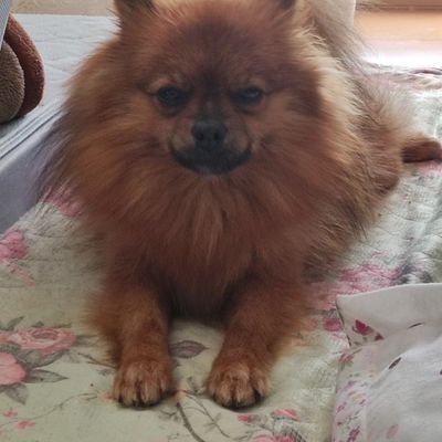 mfqF2PWD0dmIRF9's profile picture. 