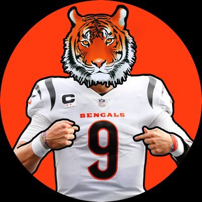 #1 Bengals Fan In CT Since 2013 🐅🥇 (@eamonntigers on Instagram)