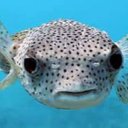 Evan Phipps - @EvanPhipps18 - Twitter