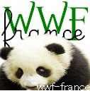 francewwf's profile picture. 