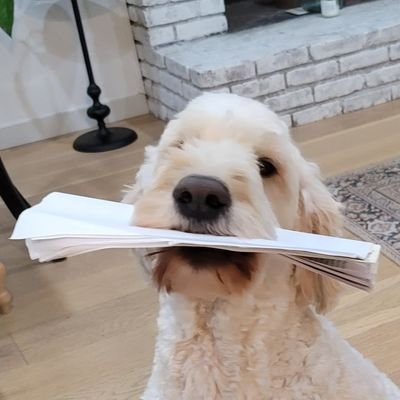 stario707's profile picture. DFS enthusiast who's passionate about basketball, football, MMA, golf, baseball, hockey, soccer, tennis, and Esports.
https://t.co/wkDDzOmIvL