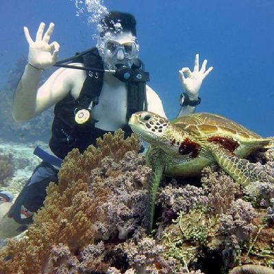 @PADI divemaster and occasional amateur underwater photographer 
@sydneyswans fan