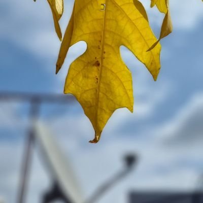 raghurao7's profile picture.