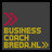 BusinessCoachBR's profile image