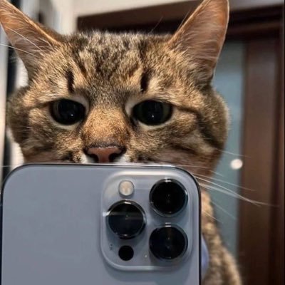 Alieya1997's profile picture. Not about this life