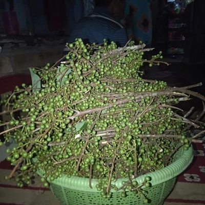 RobinSa66238724's profile picture. 