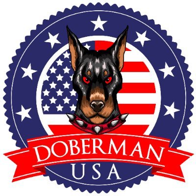 🐾 DOBERMAN USA 🐾
💜 Follow us for daily dose of #Doberman 💓tag us @usadoberman
🔖 Use #usadoberman for features
🐶 Follow us & turn ON 🔔 notifications