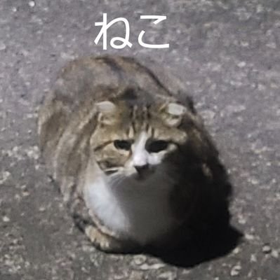 カズキ（ADVANCE）さんのプロフィール画像