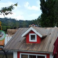 Endang (@zekq_4) 's Twitter Profile