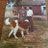 Ron Coolen- van Houten